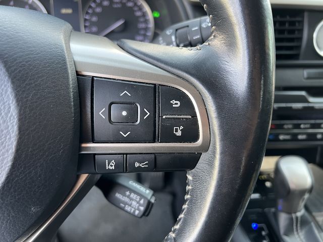LEXUS凌志 RX300  第5張相片