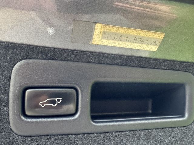 LEXUS凌志 RX270  第13張相片