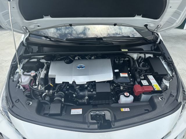 PHV 1.8  第10張相片