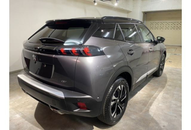 Peugeot 2008  第30張相片