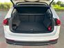 VOLKSWAGEN福斯 TIGUAN  第10張縮圖