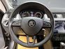 ✨2014式 Skoda Rapid 1.4 TSI 汽油 蝙蝠黑✨  第8張縮圖