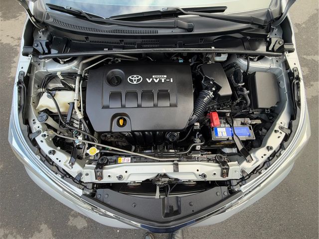 ALTIS 1.8G  第10張相片