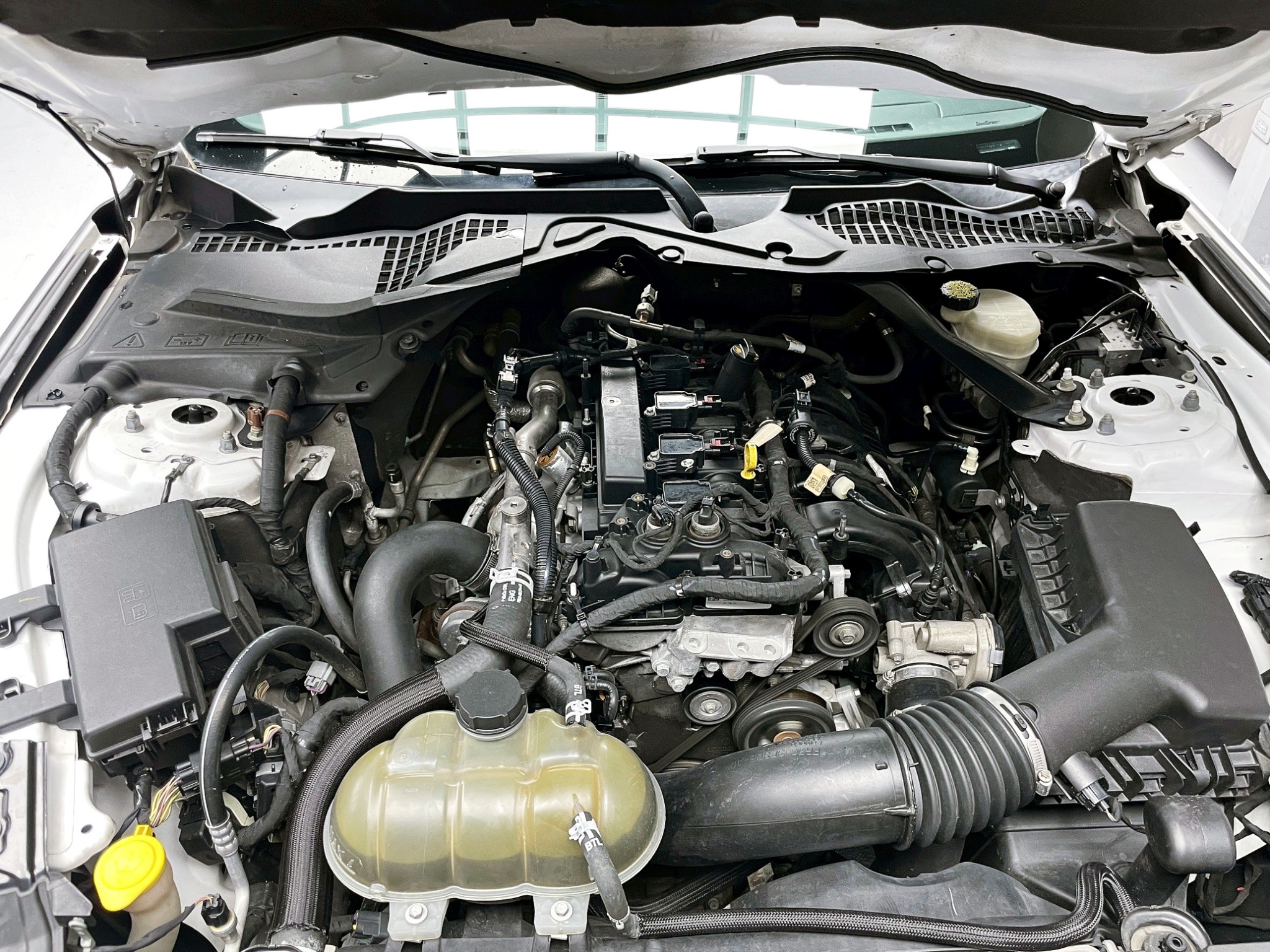 全台到府賞車 2015 Ford Mustang Convertible『小李經理』元禾國際車業/中古車/促銷中  第10張相片