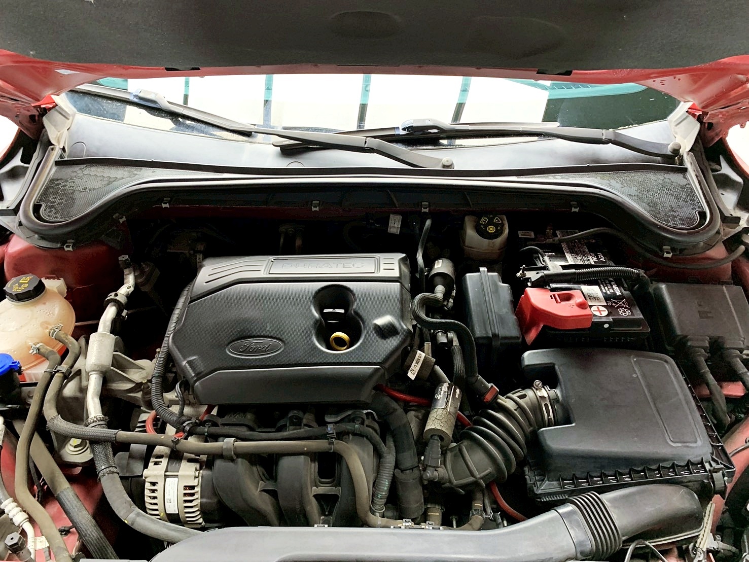 全台到府賞車 2019 Ford Focus 5D Ti-VCT 時尚型『小李經理』元禾國際車業/中古車/促銷中  第15張相片