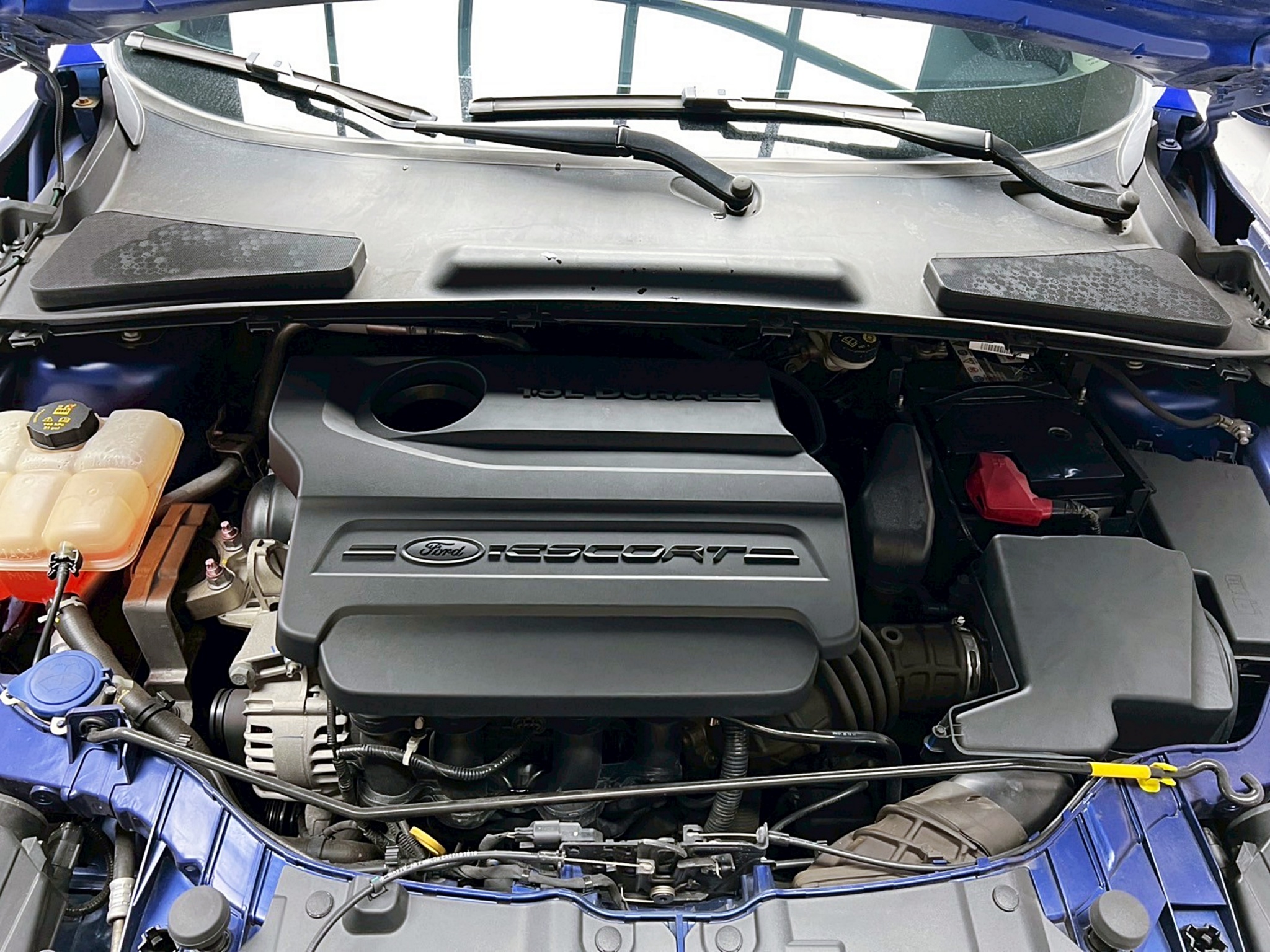 全台到府賞車 2019 Ford Escort 時尚型『小李經理』元禾國際車業/中古車/促銷中  第16張相片