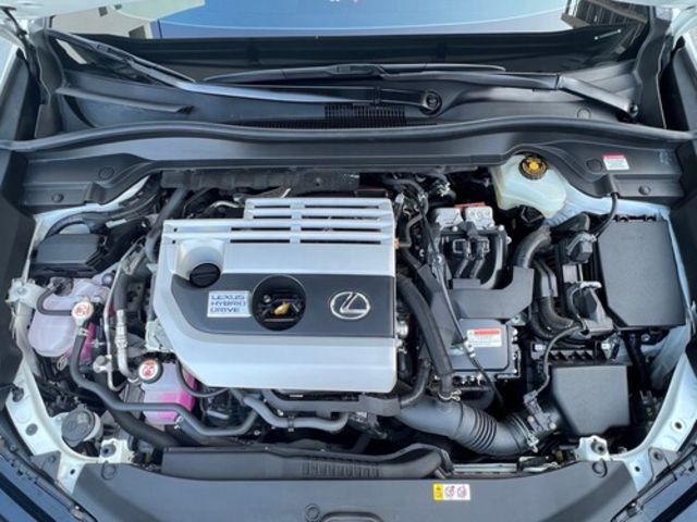 LEXUS凌志 UX250H  第6張相片