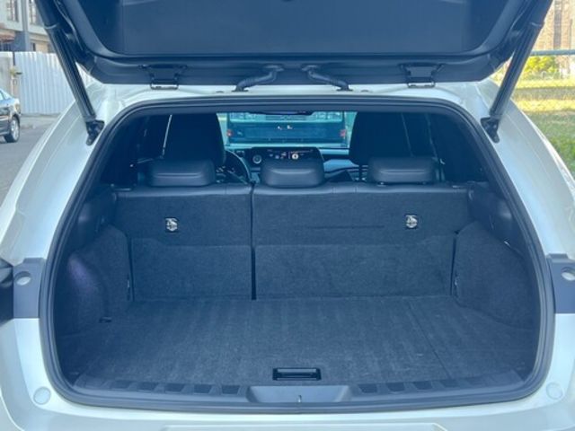 LEXUS凌志 UX250H  第19張相片
