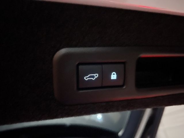 LEXUS凌志 RX300  第8張相片
