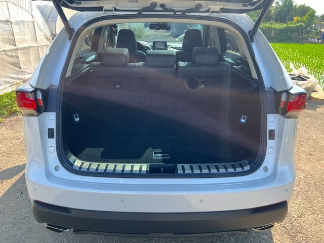 Lexus NX  第15張相片