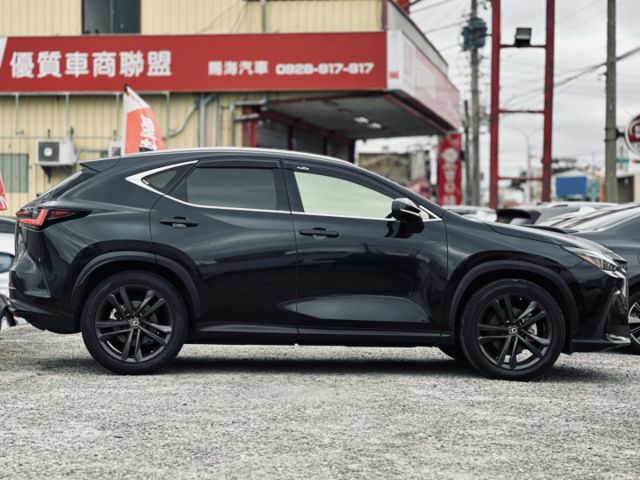NX250！頂級版！原廠保養！三眼LED智慧頭燈！ACC跟車！電動冷熱通風椅！腳踢尾門！無線充電！盲點！原鈑件！可全貸！  第3張相片