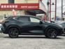 NX250！頂級版！原廠保養！三眼LED智慧頭燈！ACC跟車！電動冷熱通風椅！腳踢尾門！無線充電！盲點！原鈑件！可全貸！  第3張縮圖