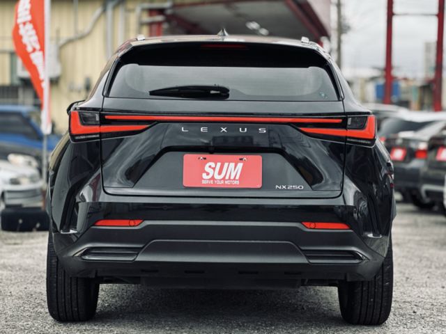 NX250！頂級版！原廠保養！三眼LED智慧頭燈！ACC跟車！電動冷熱通風椅！腳踢尾門！無線充電！盲點！原鈑件！可全貸！  第12張相片