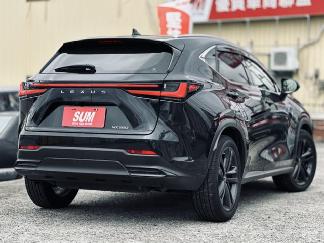 NX250！頂級版！原廠保養！三眼LED智慧頭燈！ACC跟車！電動冷熱通風椅！腳踢尾門！無線充電！盲點！原鈑件！可全貸！  第16張相片