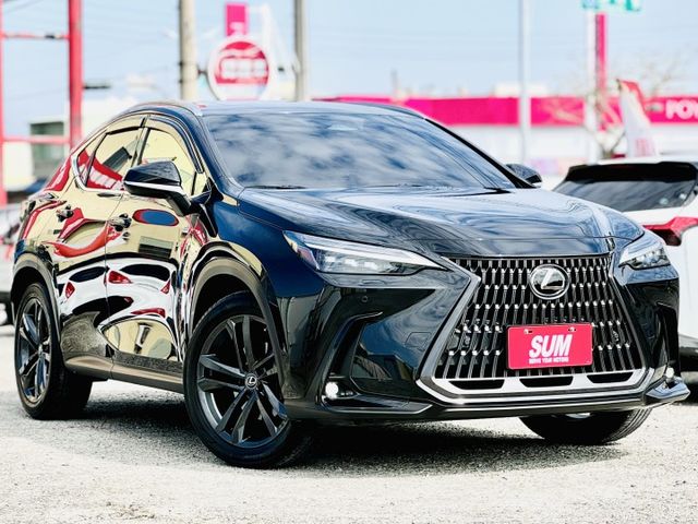 NX250！頂級版！原廠保養！三眼LED智慧頭燈！ACC跟車！電動冷熱通風椅！腳踢尾門！無線充電！盲點！原鈑件！可全貸！  第1張相片