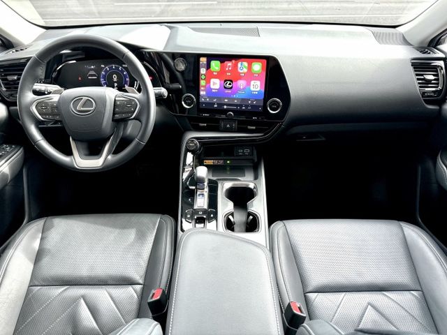 NX250！頂級版！原廠保養！三眼LED智慧頭燈！ACC跟車！電動冷熱通風椅！腳踢尾門！無線充電！盲點！原鈑件！可全貸！  第4張相片