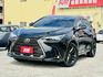 NX250！頂級版！原廠保養！三眼LED智慧頭燈！ACC跟車！電動冷熱通風椅！腳踢尾門！無線充電！盲點！原鈑件！可全貸！  第17張縮圖