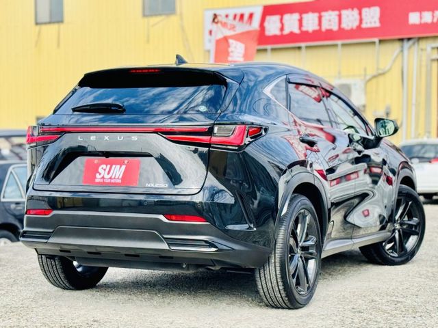 NX250！頂級版！原廠保養！三眼LED智慧頭燈！ACC跟車！電動冷熱通風椅！腳踢尾門！無線充電！盲點！原鈑件！可全貸！  第18張相片