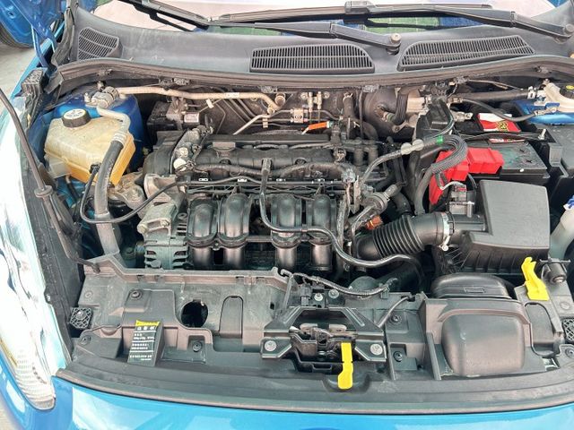 FIESTA  第15張相片