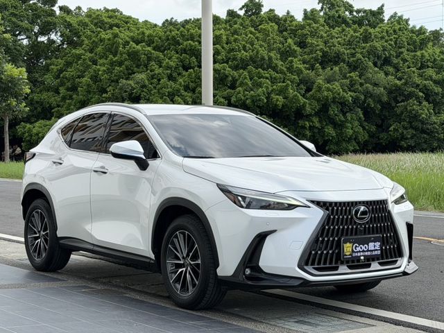 豪華版 一手車 僅跑2.6萬 原廠保養 原廠保固中 原版件  第3張相片