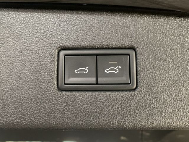 TIGUAN  第18張相片
