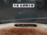 ▲推薦代步車，省油省稅，保養便宜▲客人換車收購，現況便宜賣▲五門大空間，好開好用▲感應大燈，冷暖空調，電動後視鏡  第11張縮圖