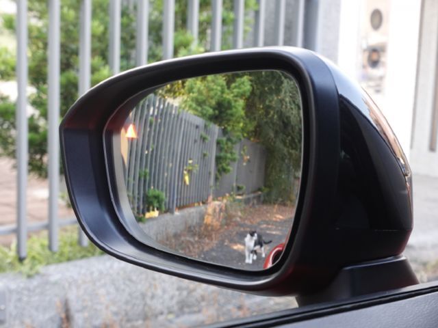 ▲1.0渦輪，最頂級～駕趣享樂版▲超美認證車，只跑２萬，全台保固▲BOSE音響，車道偏移，免鑰匙，環景，盲點，LED頭燈  第10張相片