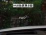 ▲旗艦經典版，一手車至今，全原廠保養▲無菸用車，原鈑件認證▲Bose音響，通風椅，全速域，盲點，環景，LED頭燈，電尾門  第14張縮圖