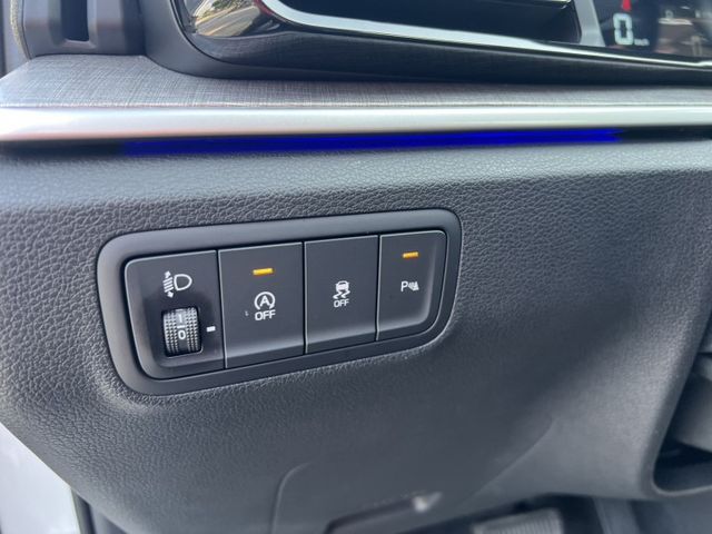正24年出廠，一手車，B版VIP，***原廠保固中***，正7人座  第15張相片
