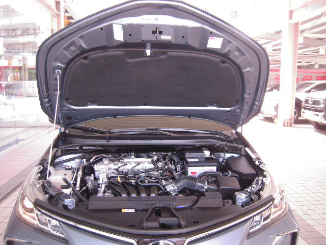 ALTIS 1.8  第10張相片