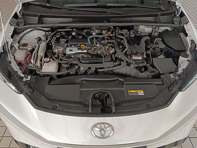 PHV 2.0  第10張相片