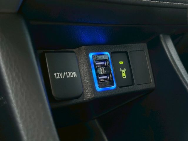 豪華版 雙環式儀表板 6安全氣囊 GARMIN影音主機 賞車另有優惠  第19張相片