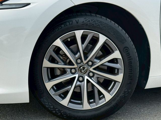 高級豪華房車 lv2跟車 雙區恆溫 鑽石地毯 豪華版 賞車另有優惠  第6張相片