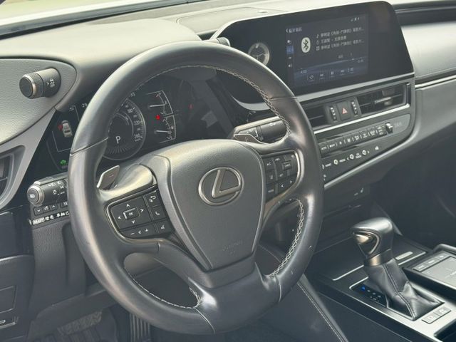 高級豪華房車 lv2跟車 雙區恆溫 鑽石地毯 豪華版 賞車另有優惠  第8張相片