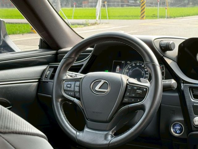 高級豪華房車 lv2跟車 雙區恆溫 鑽石地毯 豪華版 賞車另有優惠  第10張相片