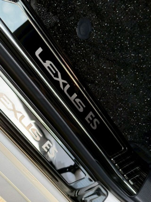 高級豪華房車 lv2跟車 雙區恆溫 鑽石地毯 豪華版 賞車另有優惠  第15張相片