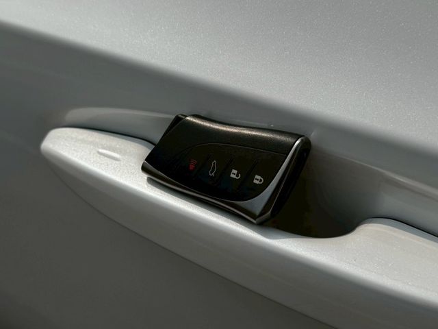 高級豪華房車 lv2跟車 雙區恆溫 鑽石地毯 豪華版 賞車另有優惠  第17張相片