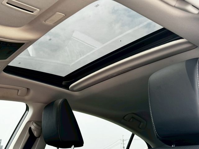 高級豪華房車 lv2跟車 雙區恆溫 鑽石地毯 豪華版 賞車另有優惠  第18張相片