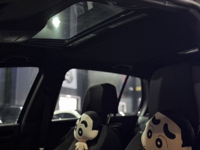 GOLF VI  第7張相片