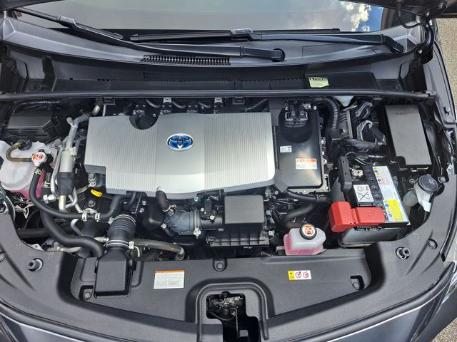 PHV 1.8  第10張相片