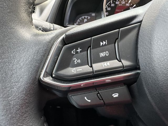 旗艦版 IKEY 摸門 盲點 CarPlay 前後錄紀錄器 一手認證車 里程保證只跑4.5萬公里 可全額貸款 保固1年  第19張相片