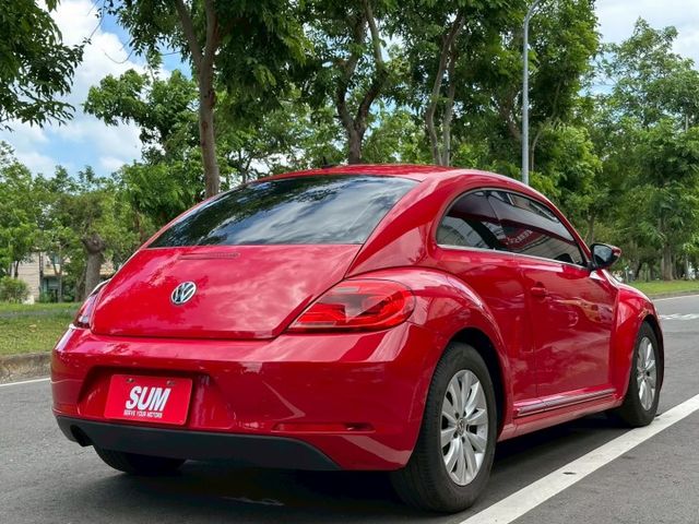 BEETLE  第12張相片