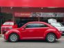 BEETLE  第10張縮圖