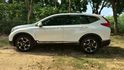 HONDA CRV/I-KEY/倒車顯影/跟車系統/全景天窗/電尾門/電動座椅/循跡防滑/自動緊急煞車系統  第8張縮圖