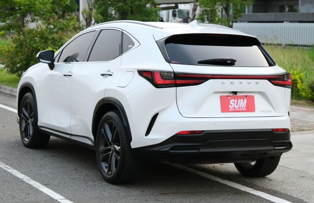 2024 Lexus NX250 頂級版 2.5 雙前座電動調整 電熱椅 電動天窗 盲點偵測 電動尾門 ACC  第5張相片