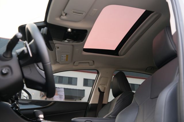 2024 Lexus NX250 頂級版 2.5 雙前座電動調整 電熱椅 電動天窗 盲點偵測 電動尾門 ACC  第17張相片