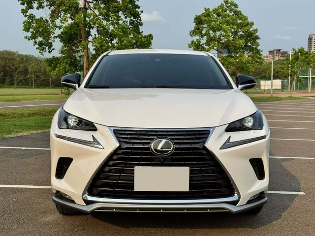 挑戰市場最美!【2021 NX 200 菁英PLUS版】僅跑3萬公里 全車原鈑原漆 ACC自動跟車 360環景  第3張相片