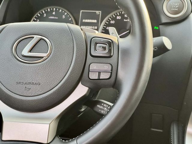 挑戰市場最美!【2021 NX 200 菁英PLUS版】僅跑3萬公里 全車原鈑原漆 ACC自動跟車 360環景  第9張相片