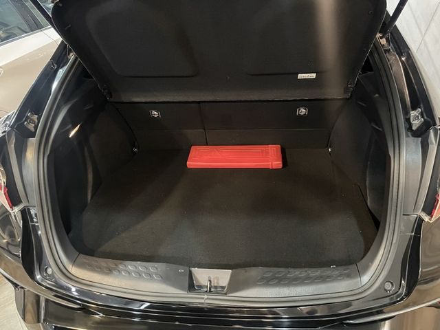 最有型跨界休旅｜好養省稅金｜摸門｜安卓機｜跑車座椅  第14張相片