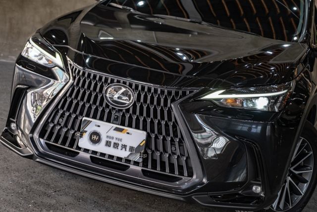 NX200精英版｜原廠保固2027｜ACC/AEB/盲點｜改電尾門｜360環景｜電子式後視鏡  第13張相片